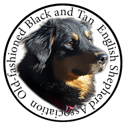 Contact | Old-fashioned Black and Tan English Shepherd Association